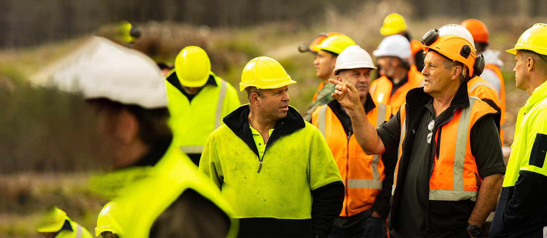 J001908 SF Website Image Why Choose Us 1800X785 4